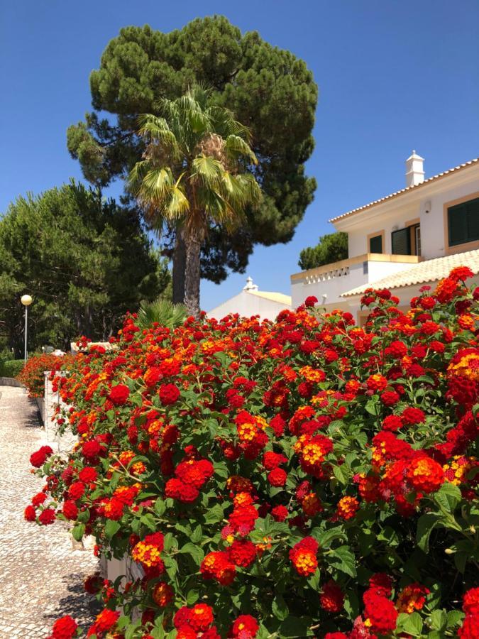 אולוס די אגווה Algarve Albufeira, Quiet Apart With Pool At 10 Mn Walk From Praia Da Falesia מראה חיצוני תמונה