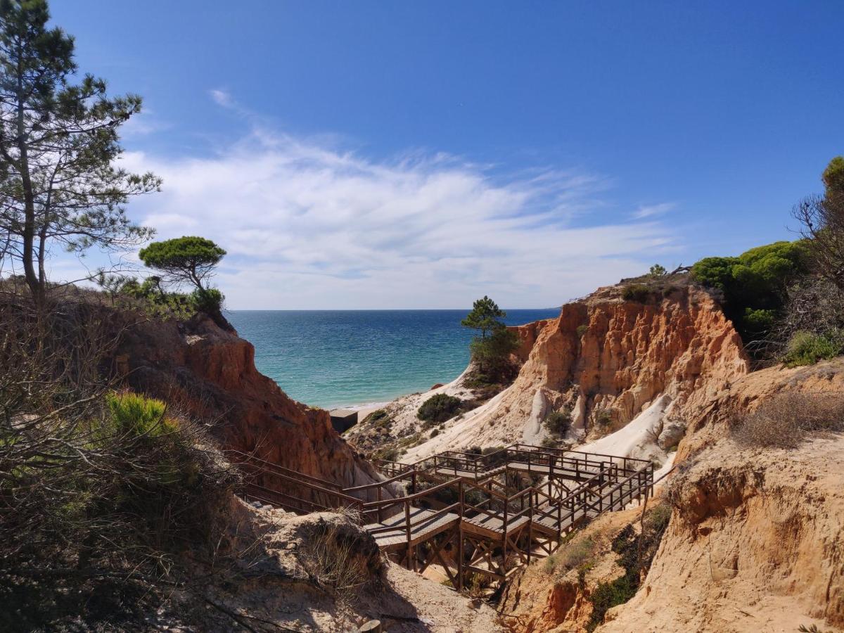 אולוס די אגווה Algarve Albufeira, Quiet Apart With Pool At 10 Mn Walk From Praia Da Falesia מראה חיצוני תמונה